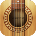 Brcomrodrigokolbrealguitar 260.png